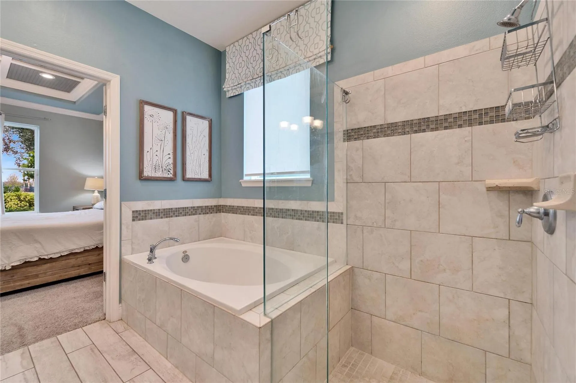 13316 Palmera Vista Drive Riverview FL 33579