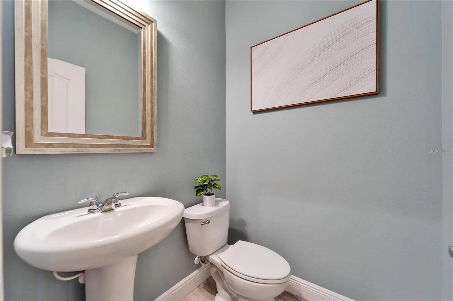 13316 Palmera Vista Drive Riverview FL 33579