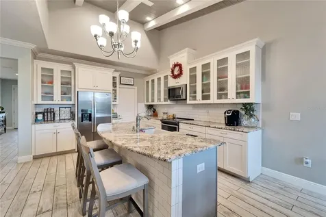 13316 Palmera Vista Drive Riverview FL 33579