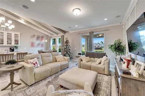 13316 Palmera Vista Drive Riverview FL 33579
