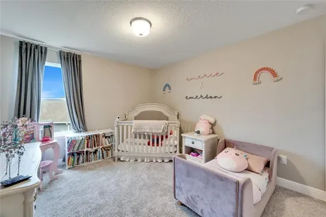 13316 Palmera Vista Drive Riverview FL 33579