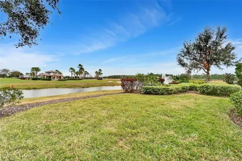 13316 Palmera Vista Drive Riverview FL 33579