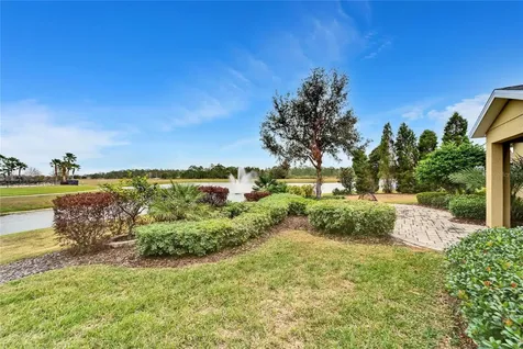 13316 Palmera Vista Drive Riverview FL 33579