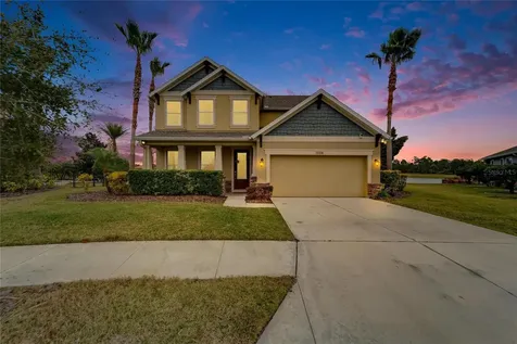 13316 Palmera Vista Drive Riverview FL 33579