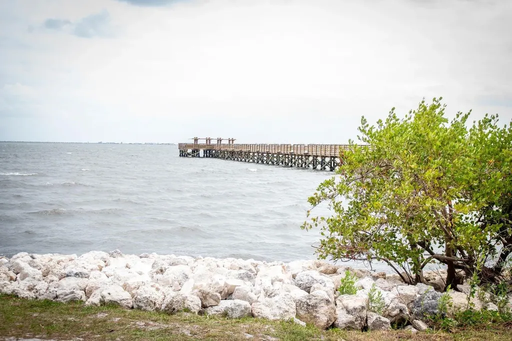 734 2nd Street N Safety Harbor FL 34695