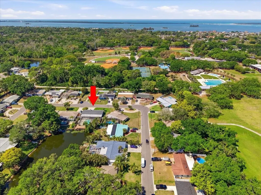 1023 Idlewild Drive N Dunedin FL 34698