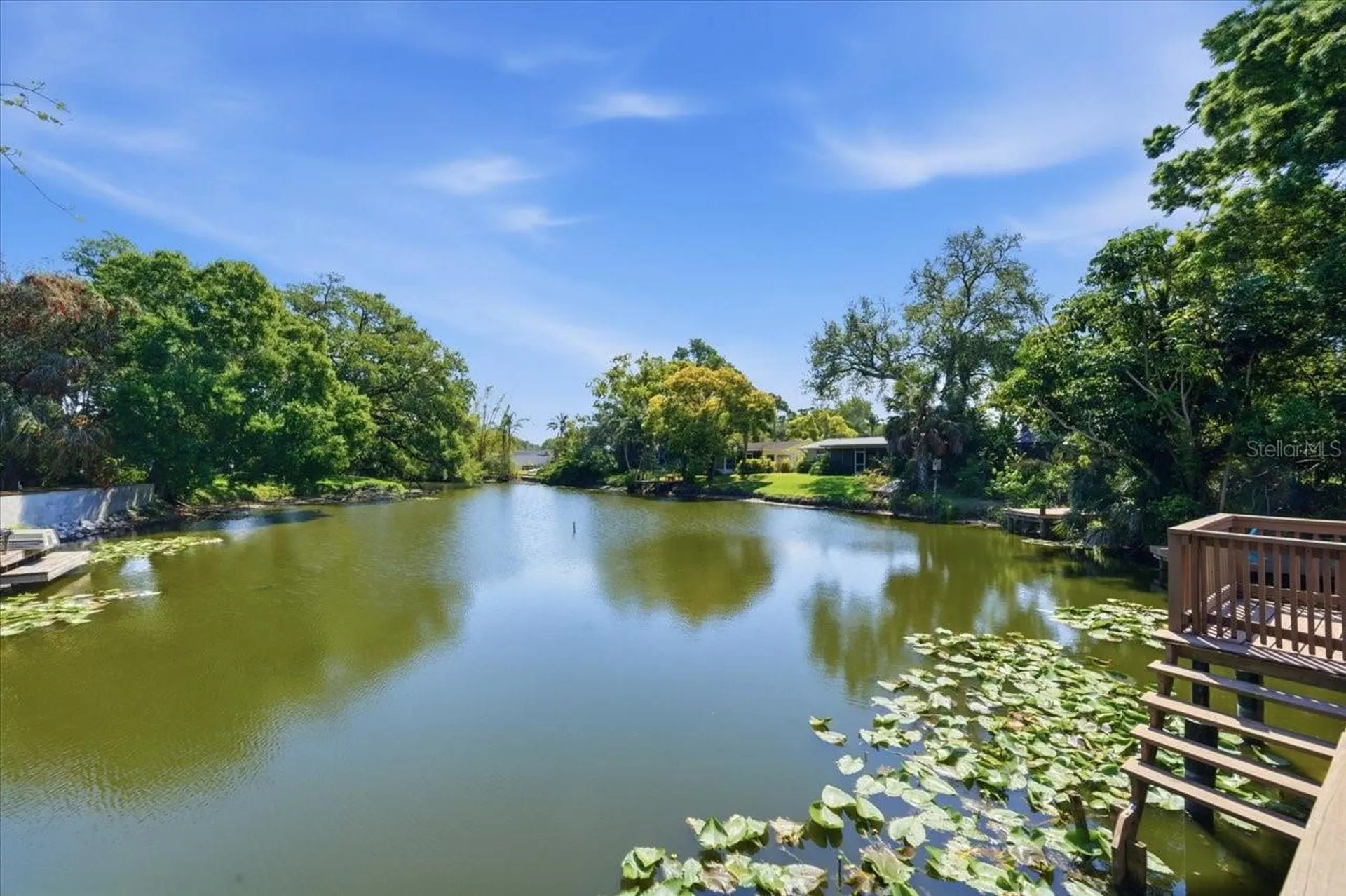 1023 Idlewild Drive N Dunedin FL 34698