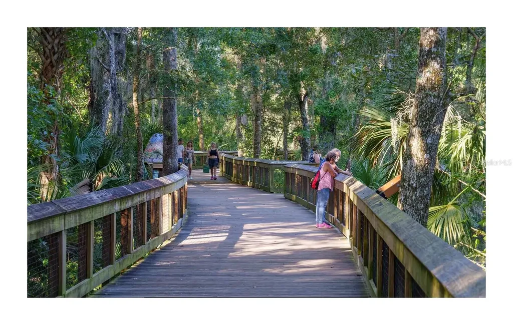 388 Sweetwater Springs Street Debary FL 32713