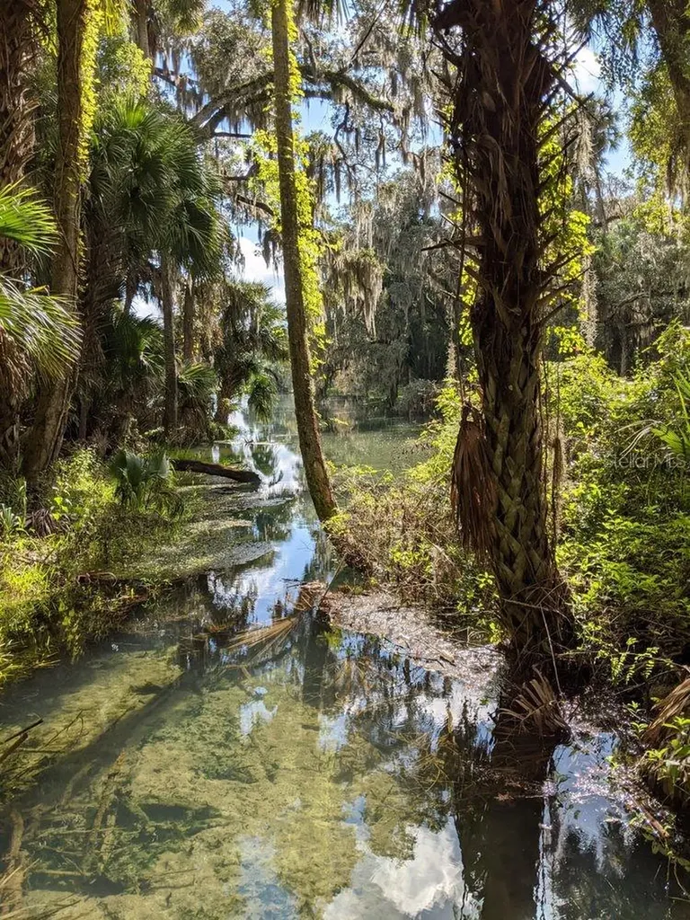 388 Sweetwater Springs Street Debary FL 32713