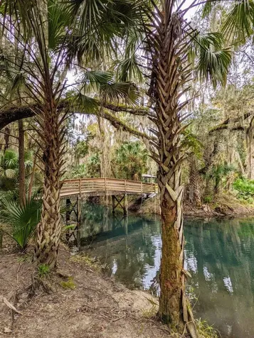 388 Sweetwater Springs Street Debary FL 32713