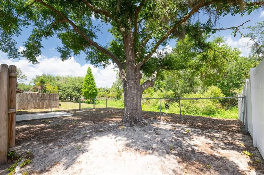 4704 Lighterwood Way Valrico FL 33596