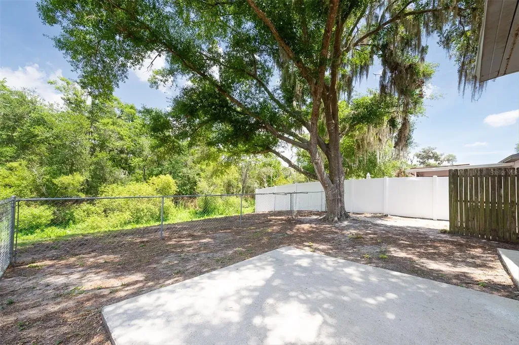 4704 Lighterwood Way Valrico FL 33596