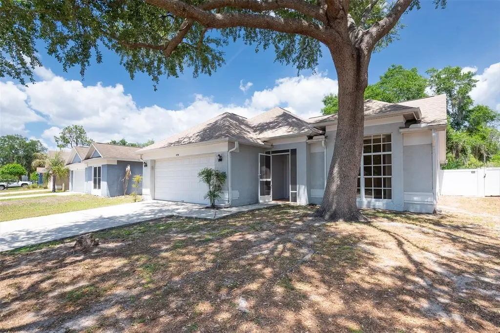 4704 Lighterwood Way Valrico FL 33596