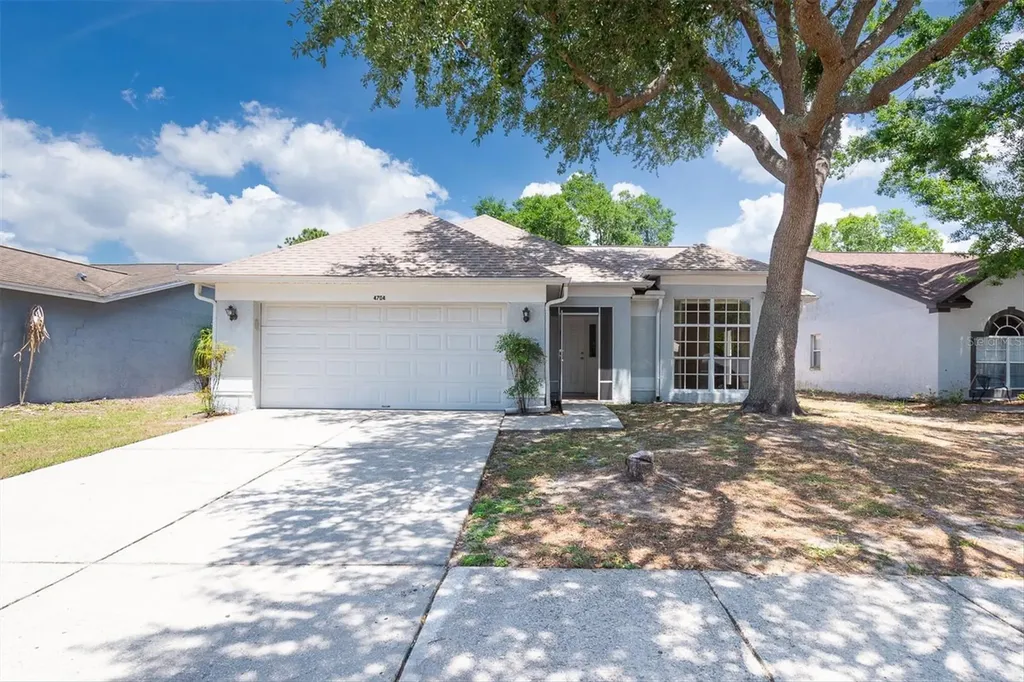 4704 Lighterwood Way Valrico FL 33596