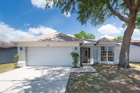 4704 Lighterwood Way Valrico FL 33596