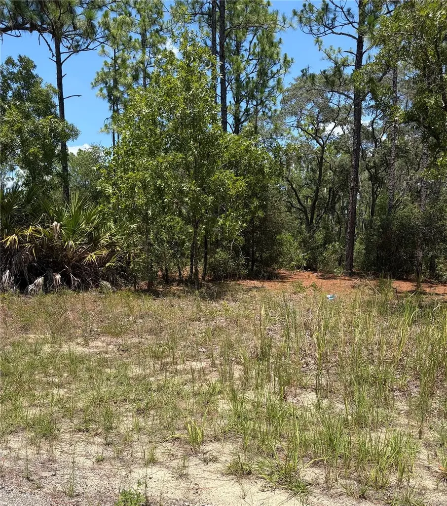3711 W Norwick Place Citrus Springs FL 34433