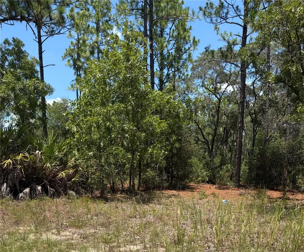 3711 W Norwick Place Citrus Springs FL 34433
