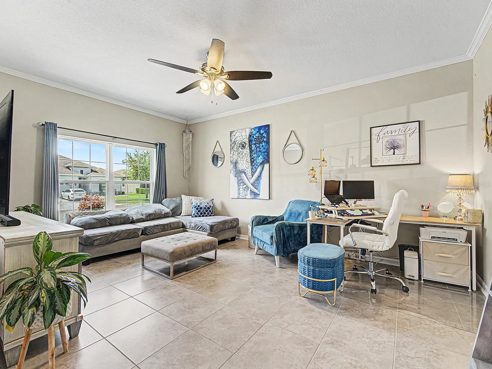 30959 Parrot Reef Court Wesley Chapel FL 33545