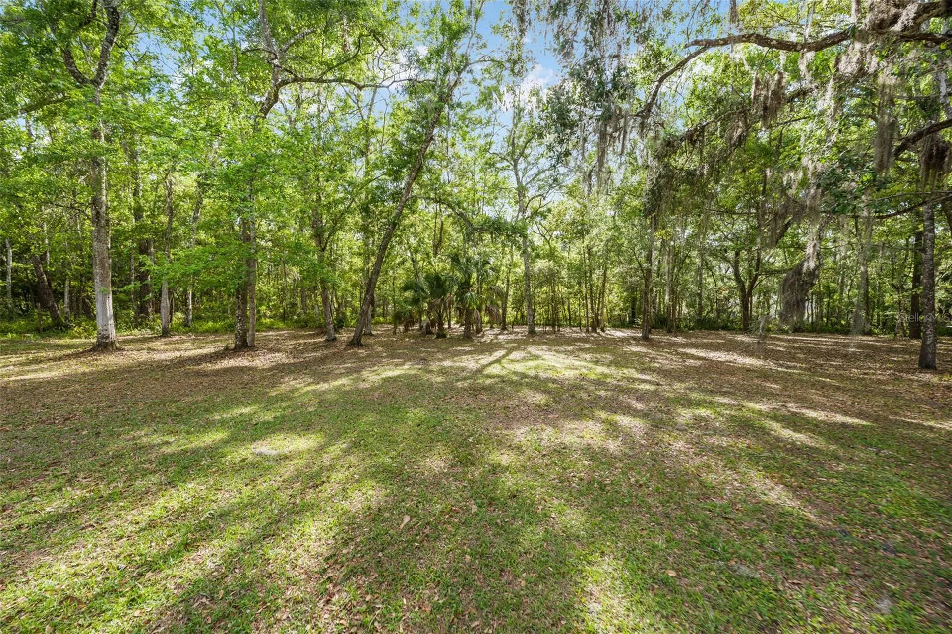 1008 S Mildred Avenue Brooksville FL 34601