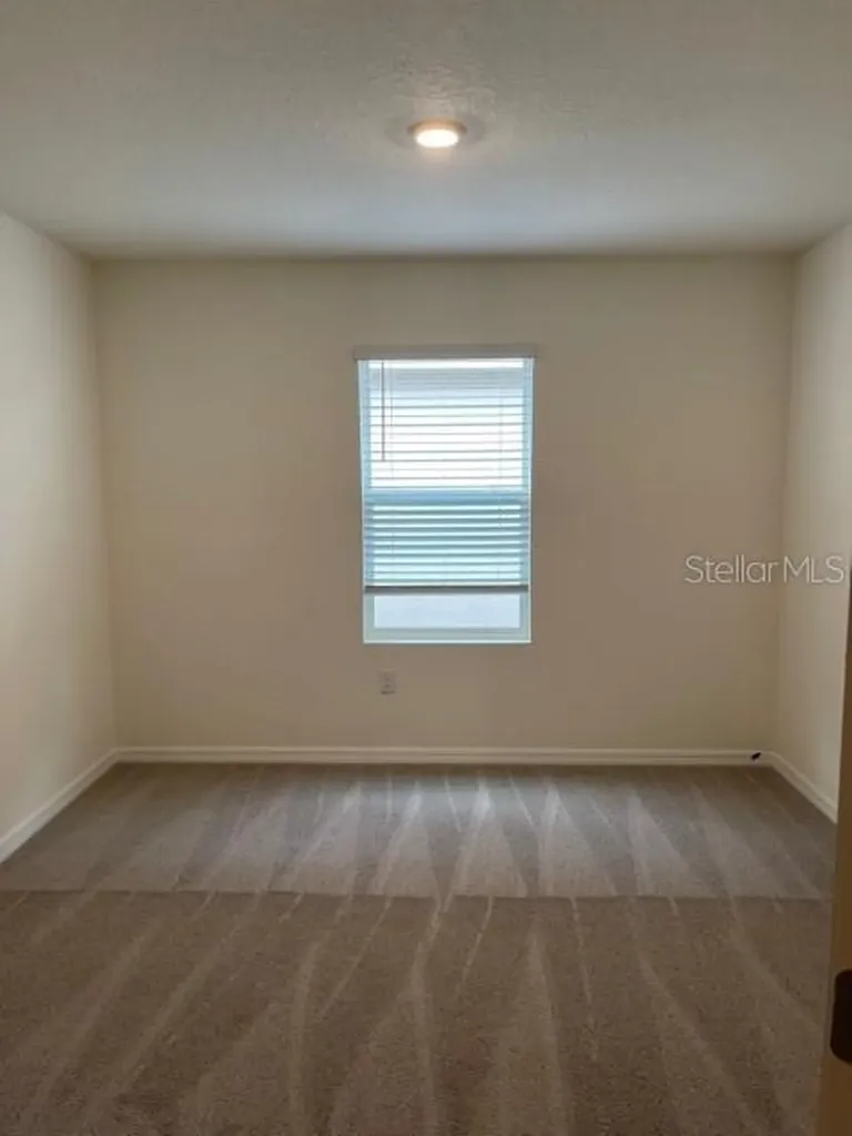5715 Margate Mill Bend Wesley Chapel FL 33545
