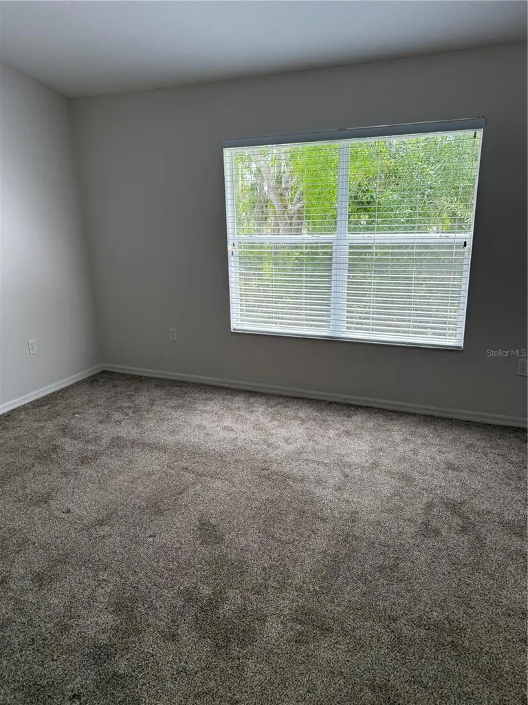 1715 Hammocks Avenue Lutz FL 33549