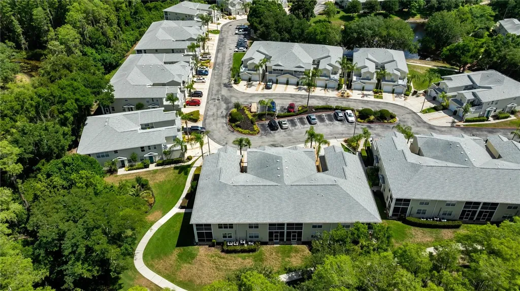 1715 Hammocks Avenue Lutz FL 33549