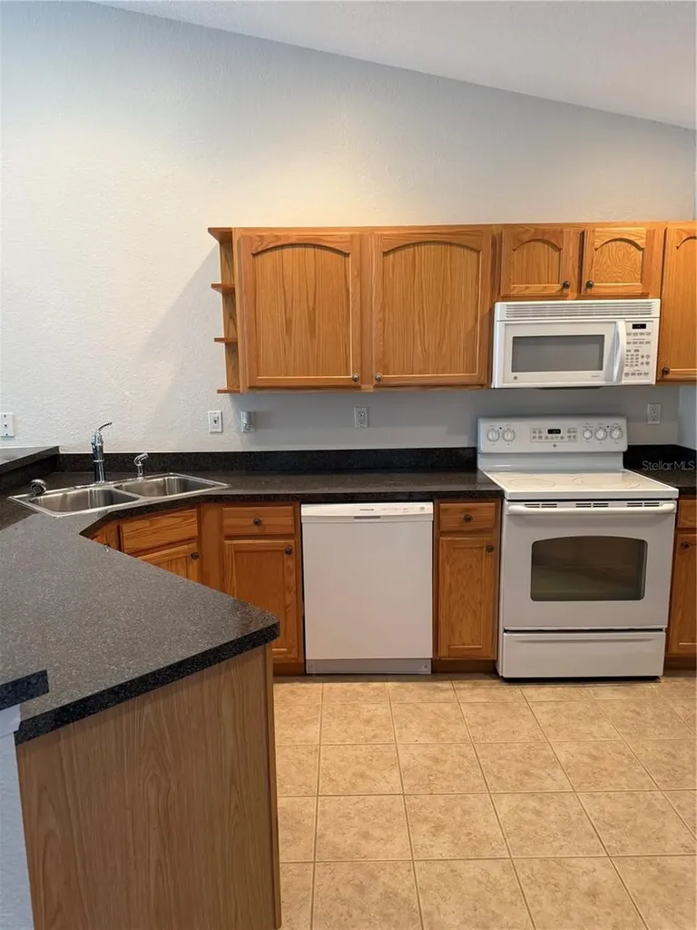 1715 Hammocks Avenue Lutz FL 33549