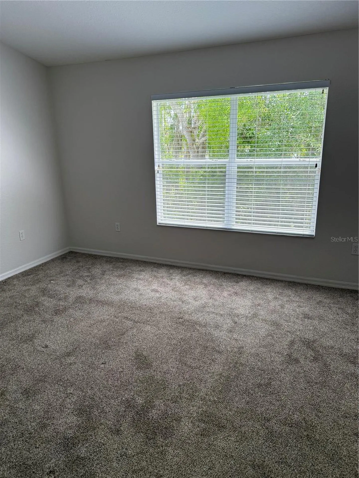 1715 Hammocks Avenue Lutz FL 33549