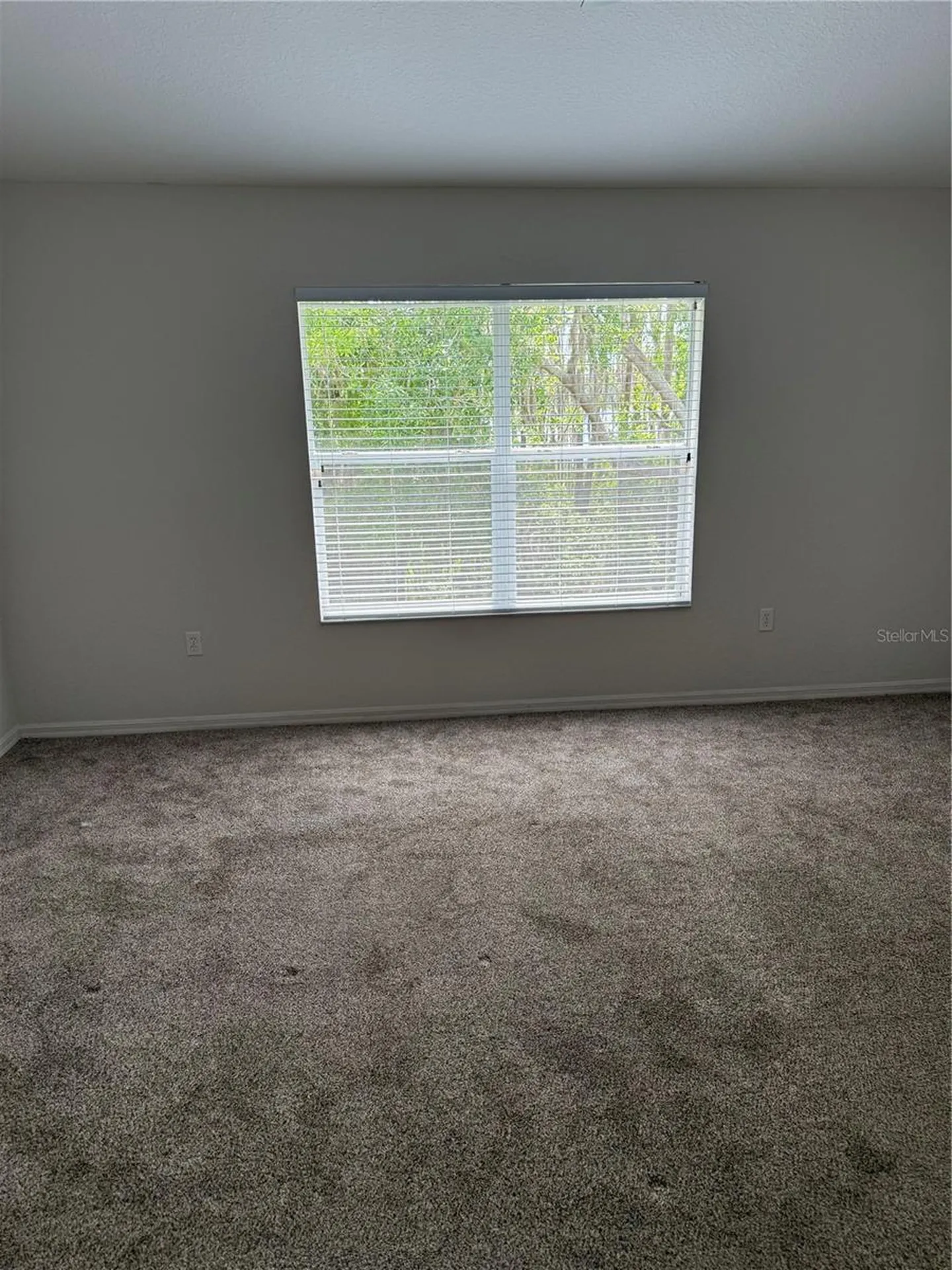 1715 Hammocks Avenue Lutz FL 33549