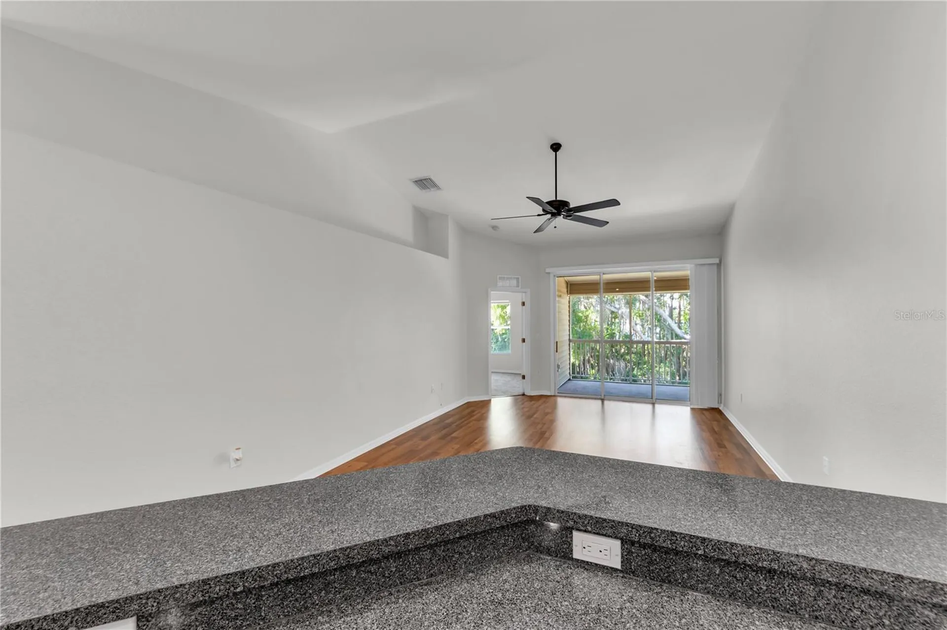 1715 Hammocks Avenue Lutz FL 33549