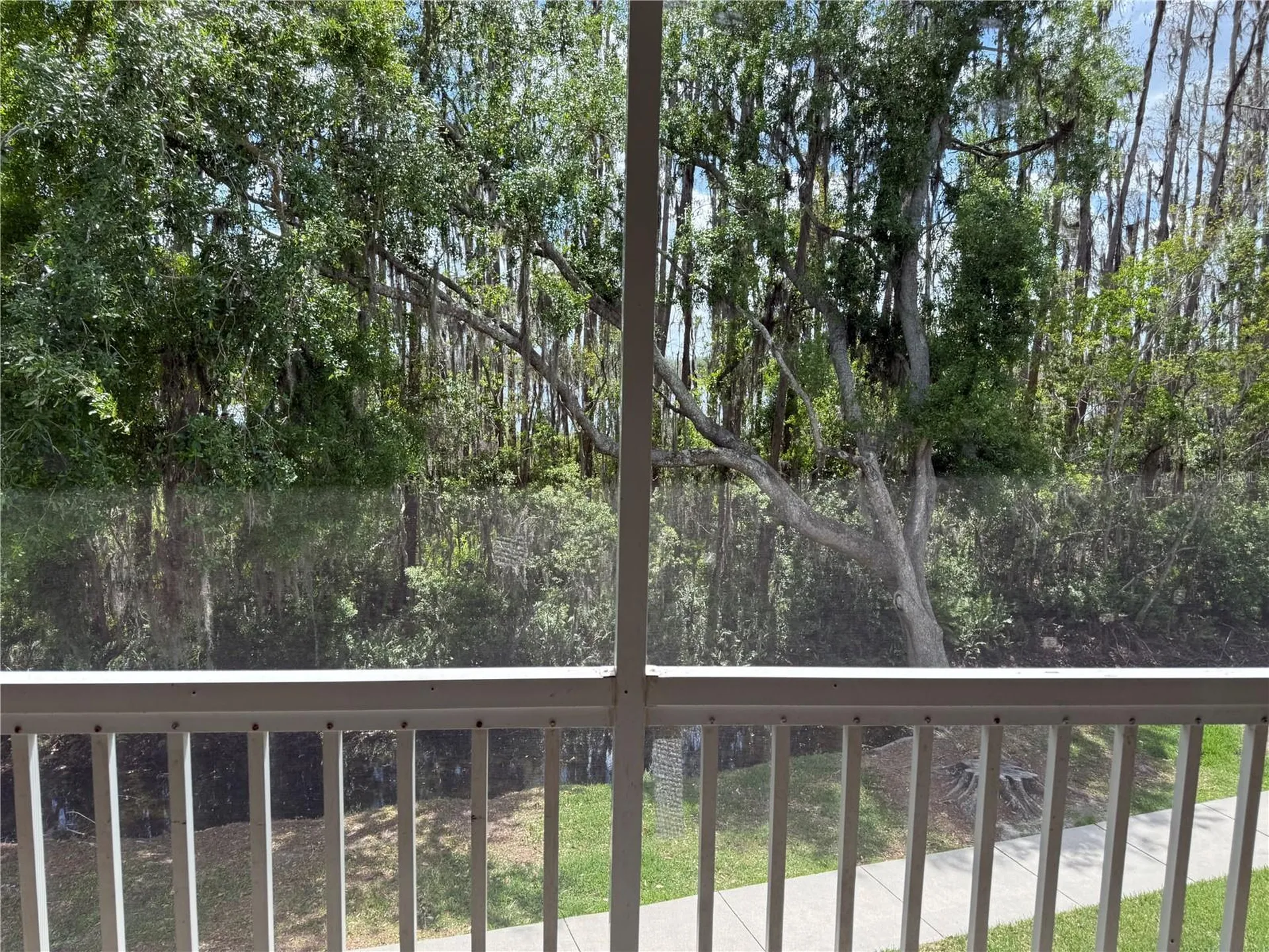 1715 Hammocks Avenue Lutz FL 33549