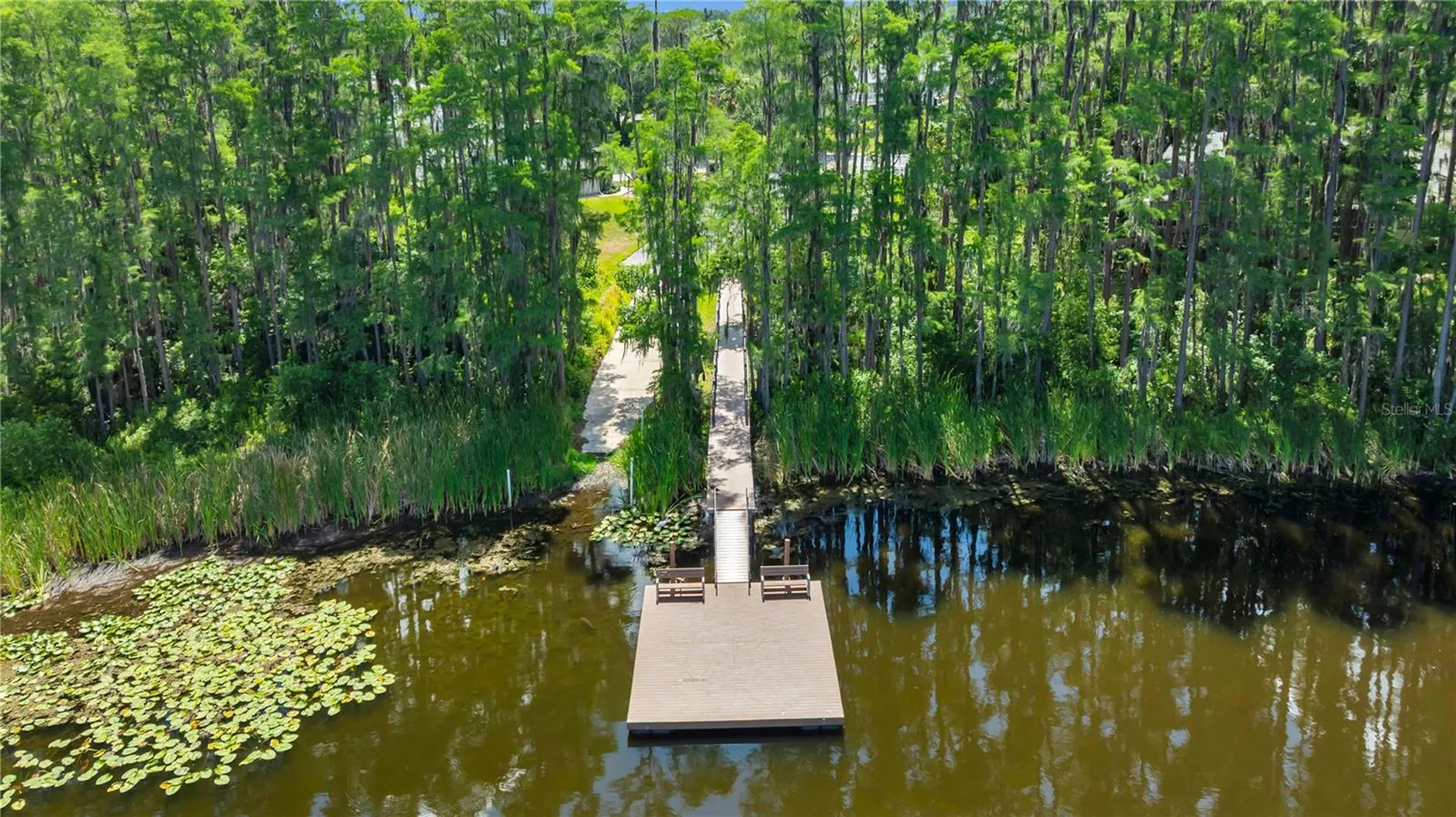 1715 Hammocks Avenue Lutz FL 33549