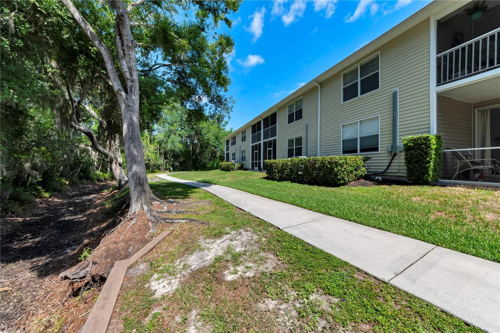 1715 Hammocks Avenue Lutz FL 33549