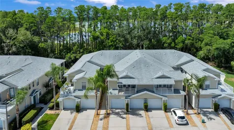 1715 Hammocks Avenue Lutz FL 33549