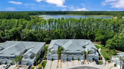 1715 Hammocks Avenue Lutz FL 33549