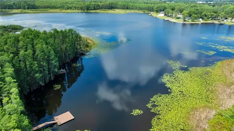 1715 Hammocks Avenue Lutz FL 33549