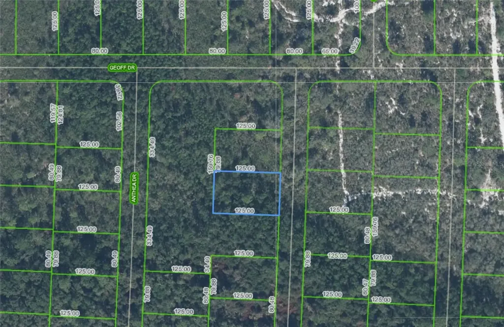 6316 Alicia Drive Sebring FL 33872