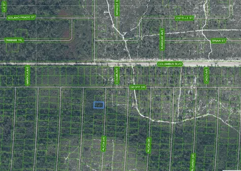 6316 Alicia Drive Sebring FL 33872