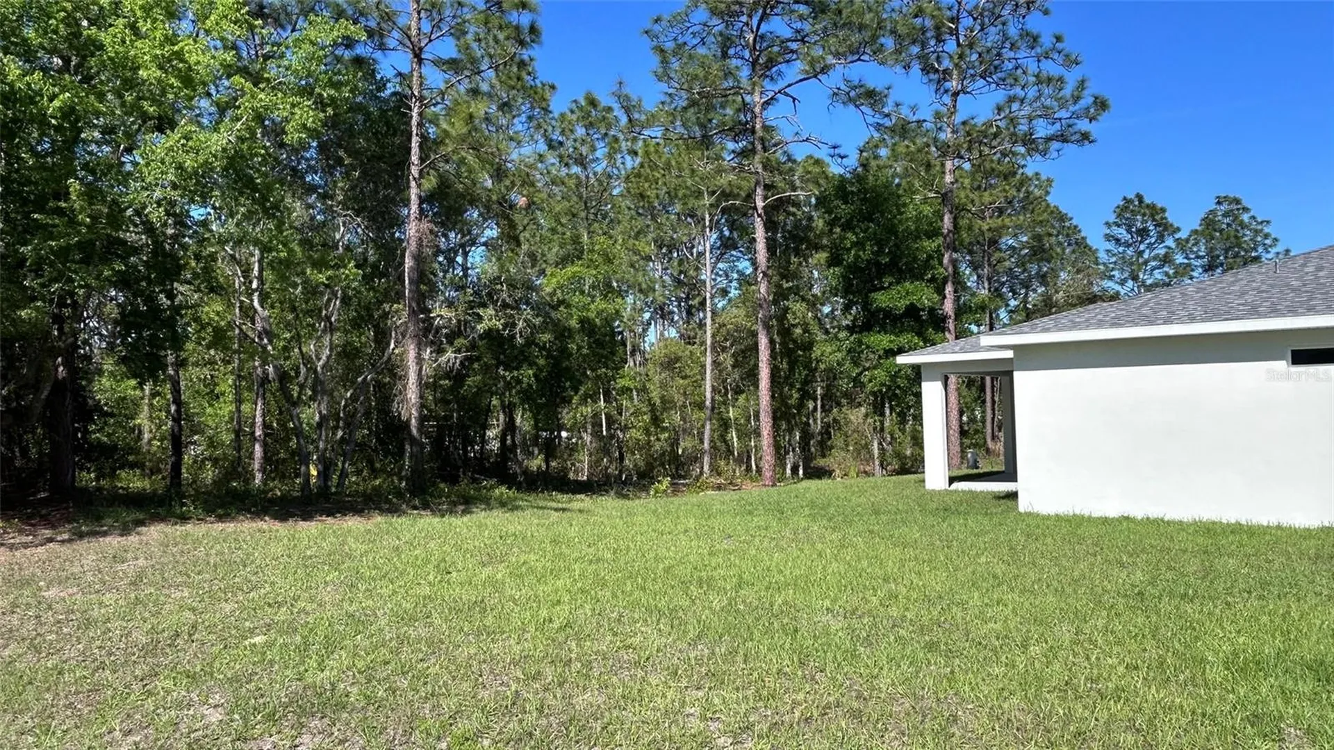 7191 SW 133rd Lane Ocala FL 34473