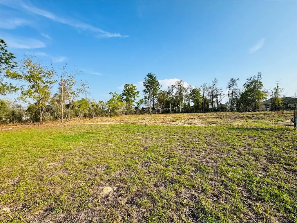 11380 Old Squaw Avenue Weeki Wachee FL 34614