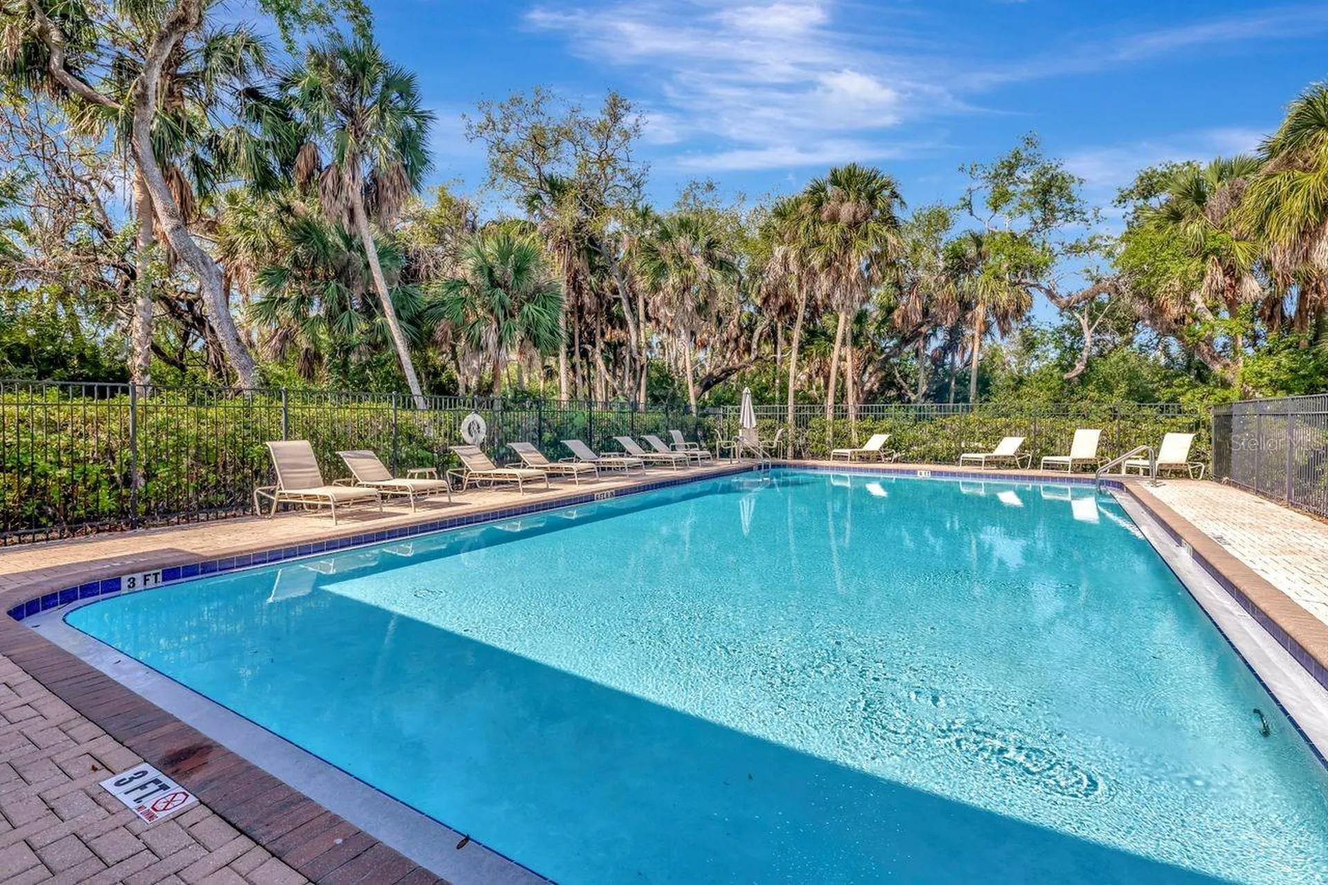 4551 Tuscan Loon Drive Tampa FL 33619
