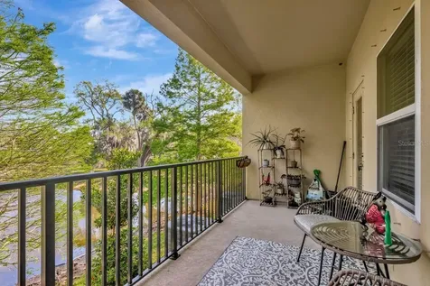 4551 Tuscan Loon Drive Tampa FL 33619
