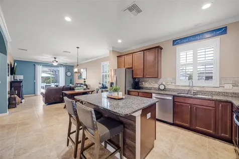 5323 Crosscourt View Drive Lithia FL 33547