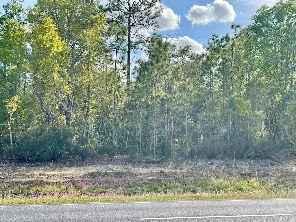 Tbd NE Highway 27 Alt Williston FL 32696