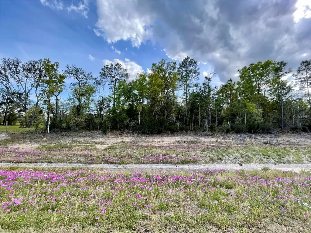 Tbd NE Highway 27 Alt Williston FL 32696