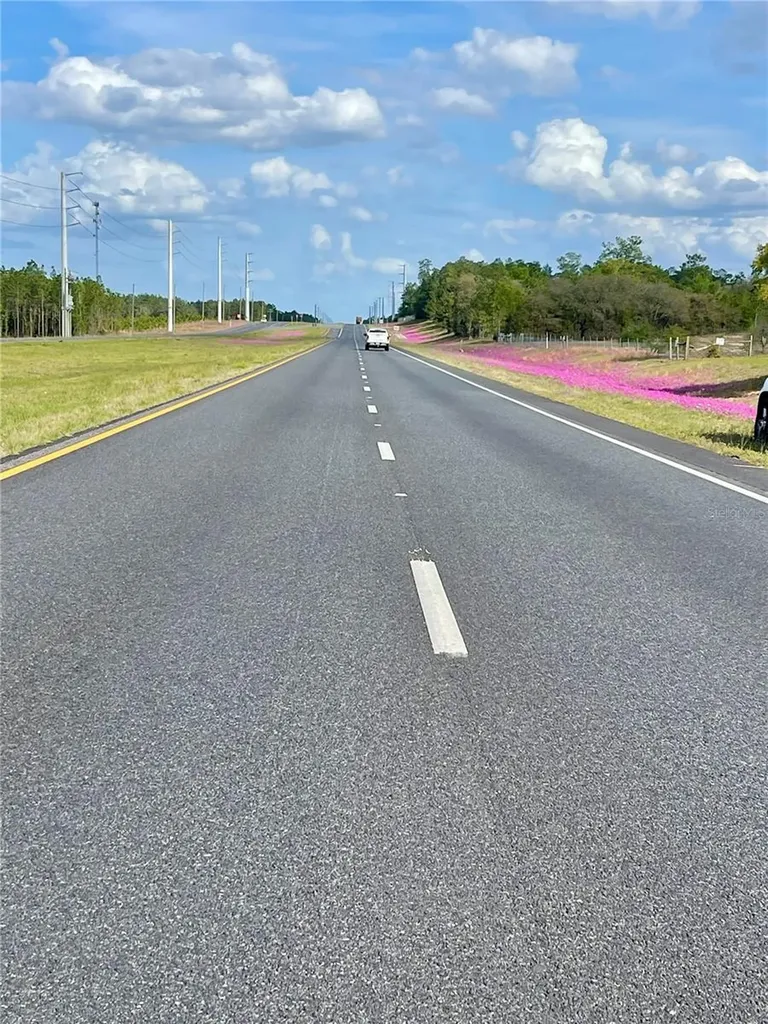 Tbd NE Highway 27 Alt Williston FL 32696