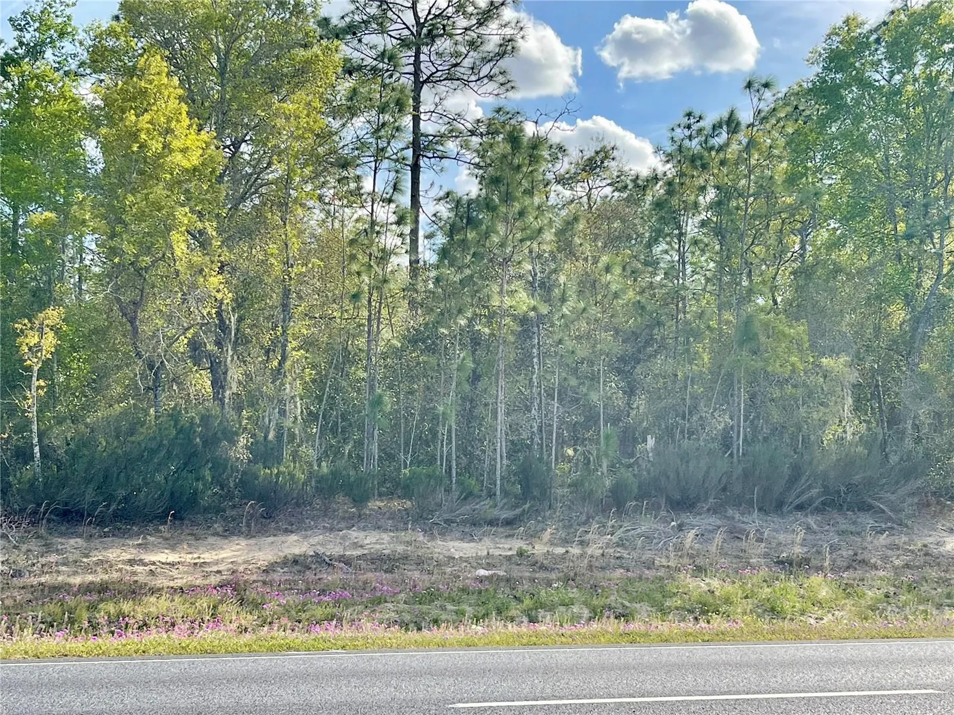Tbd NE Highway 27 Alt Williston FL 32696