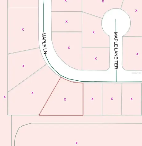 Maple Lane Ocklawaha FL 32179