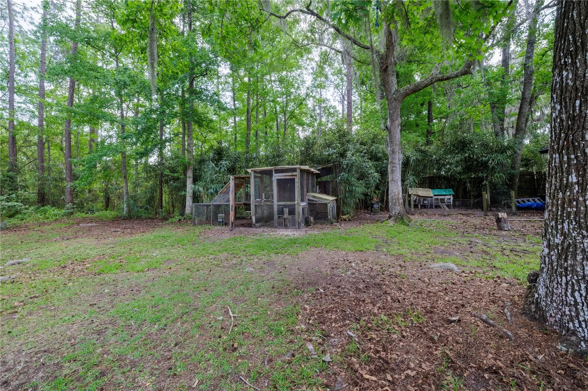379 Oakridge Road Ormond Beach FL 32174
