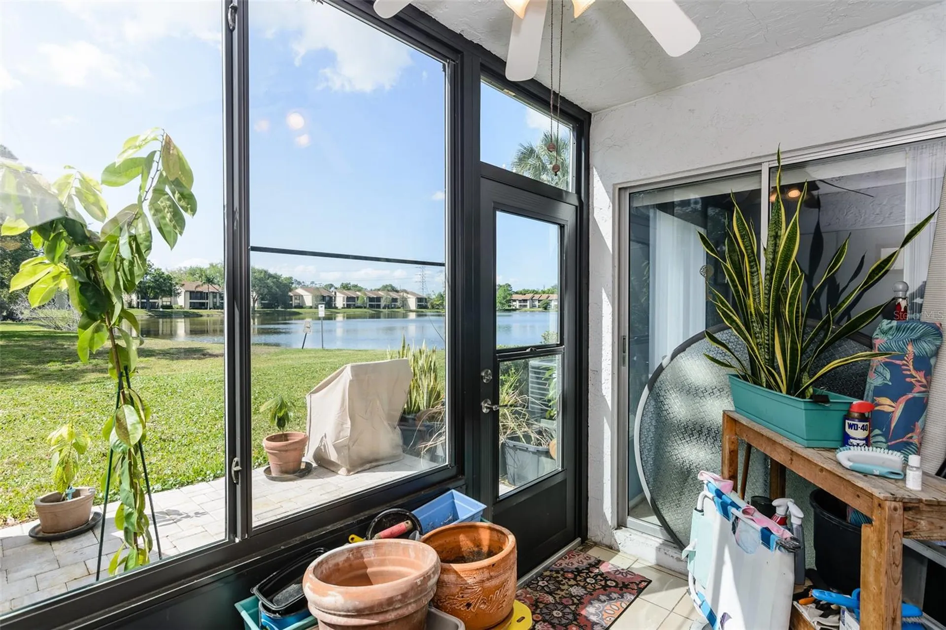 207 Cypress Lane Oldsmar FL 34677